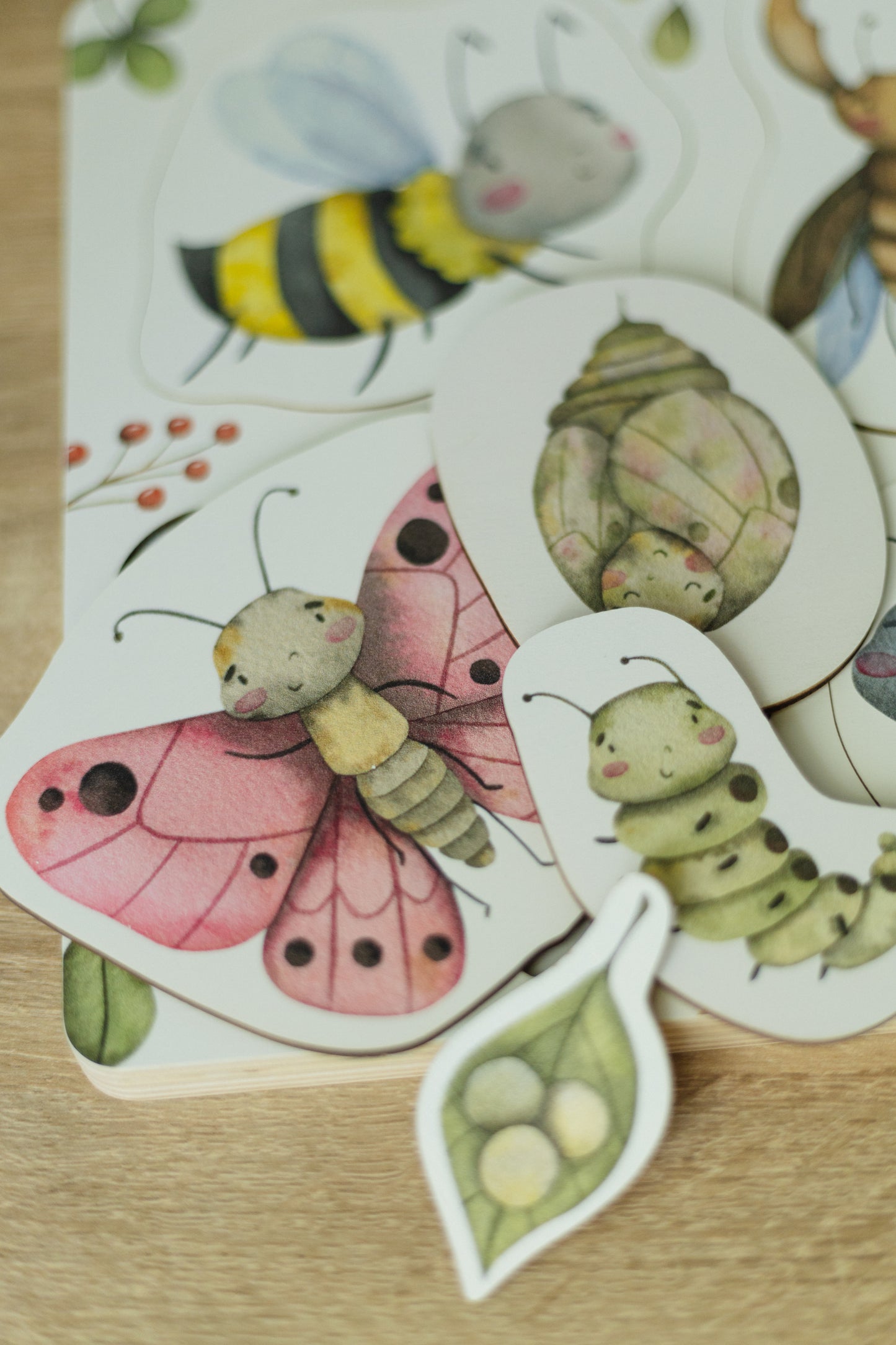 Insects' Life Cycle Wooden Puzzle
