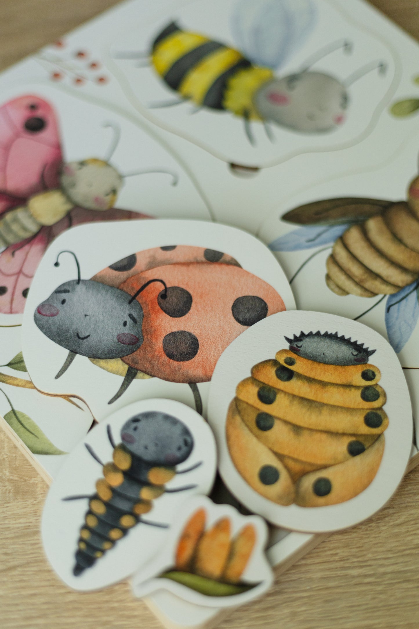 Insecten 'levenscyclus houten puzzel