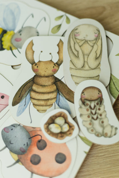 Insecten 'levenscyclus houten puzzel