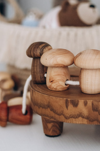 Funghi per lacciatura in legno